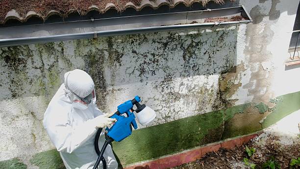 Top rated local Attic Mold Removal specialists in Gresham, OR